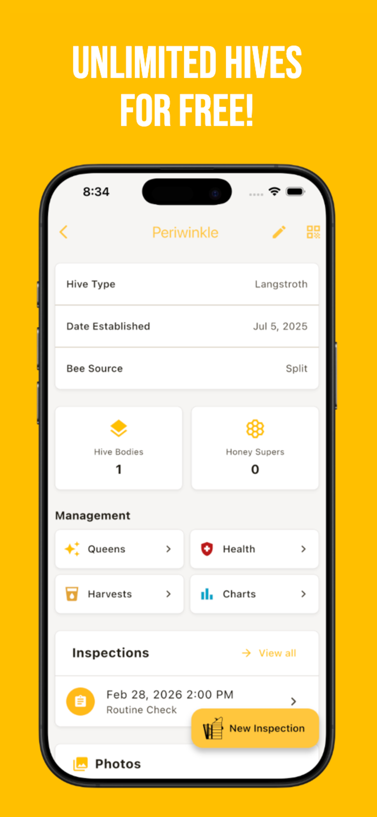 Queenright screenshot 2