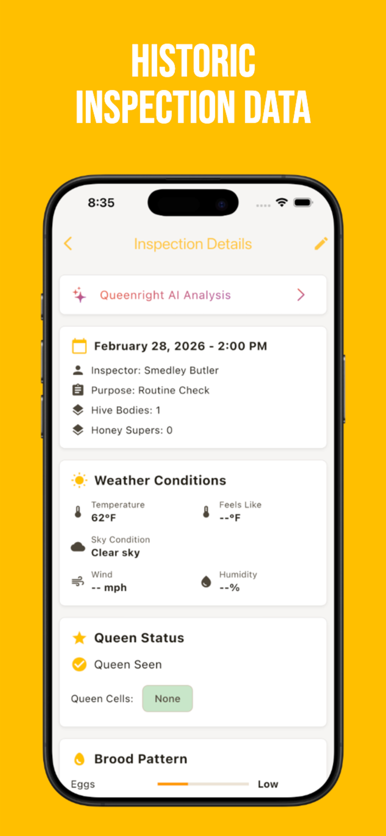 Queenright screenshot 3