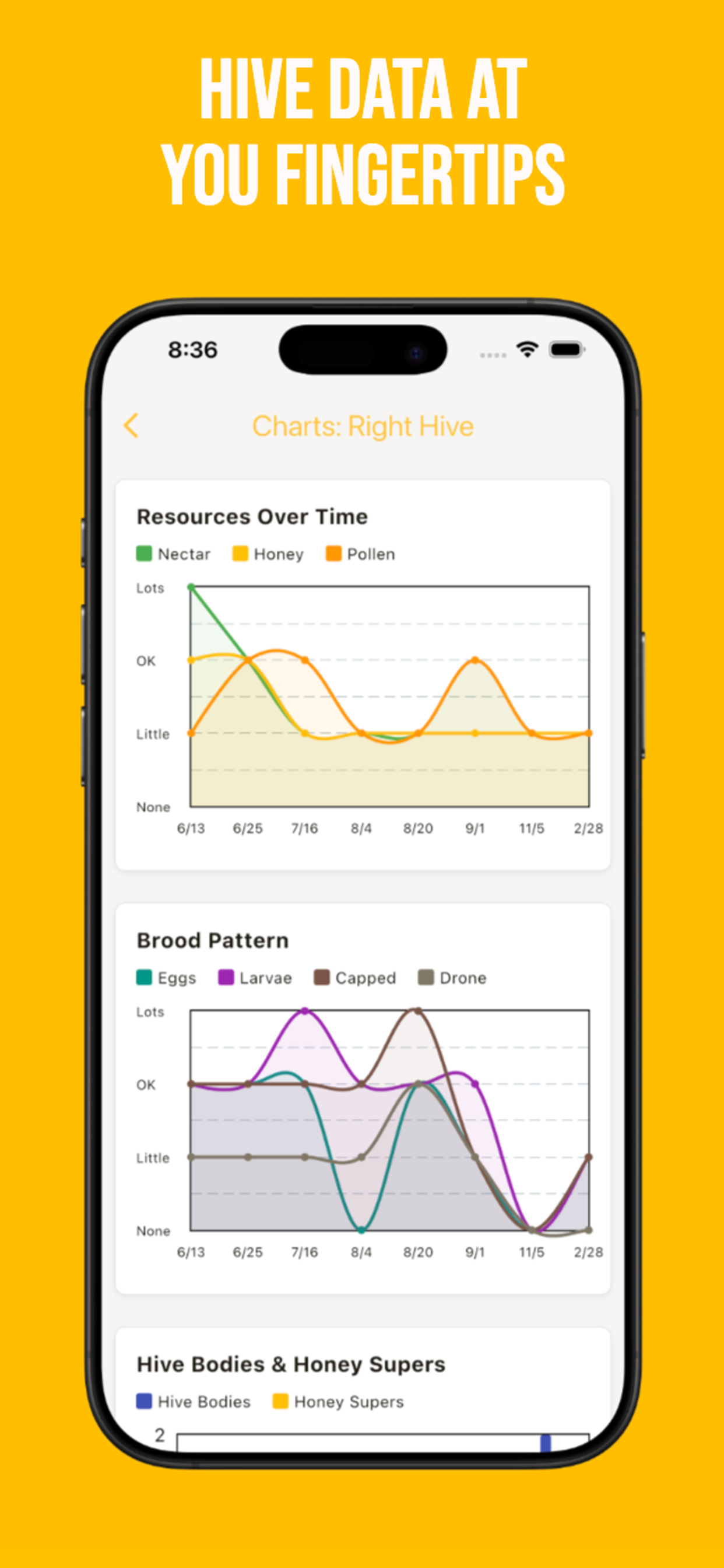 Queenright screenshot 4