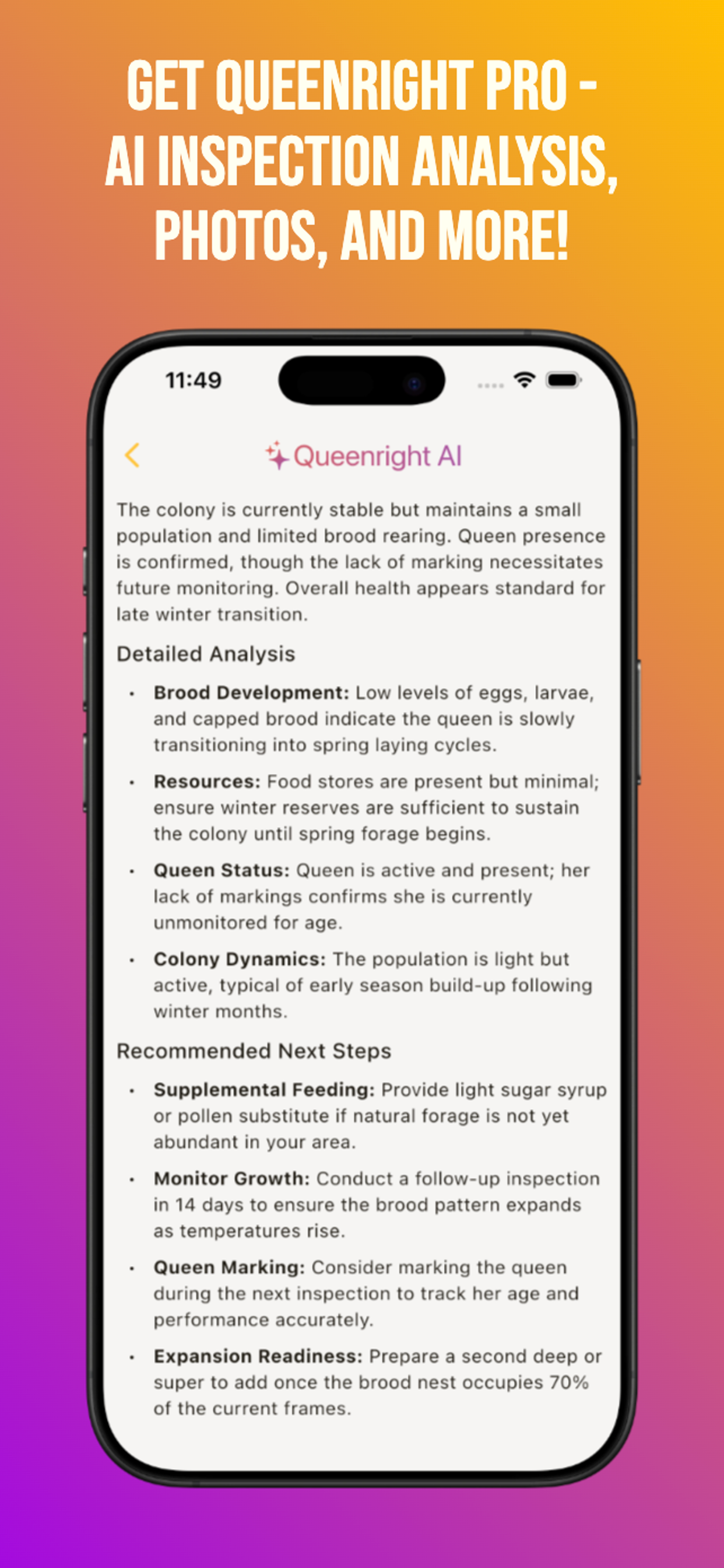Queenright screenshot 5